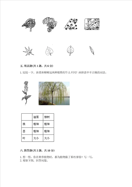 教科版科学一年级上册第一单元植物测试卷实验班