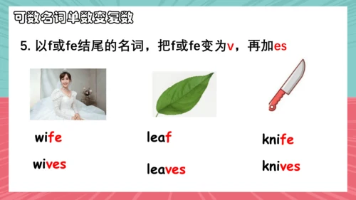 Unit 6 Section A Grammar Focus-3c 课件（新目标七上Unit 6 D