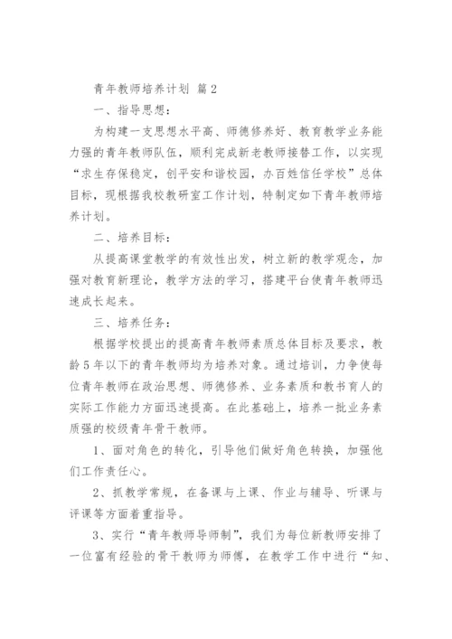 青年教师培养计划.docx