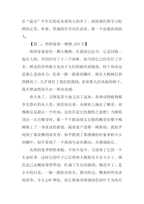 有关树的作文.docx