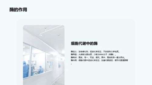 蓝色细胞结构和功能介绍PPT模板