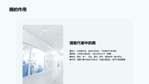 蓝色细胞结构和功能介绍PPT模板