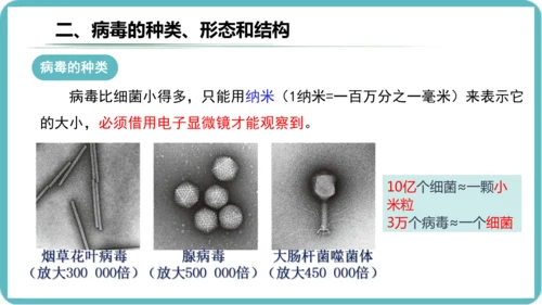 人教版生物七年级上册2.3.4《病毒》课件(共19张PPT)+视频素材