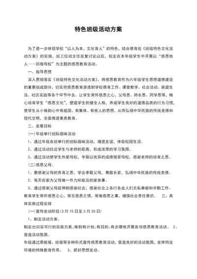 特色班级活动方案.docx