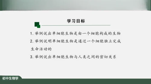 2.2.4 单细胞生物 课件（共24张PPT）