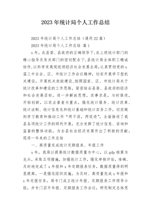 2023年统计局个人工作总结.docx