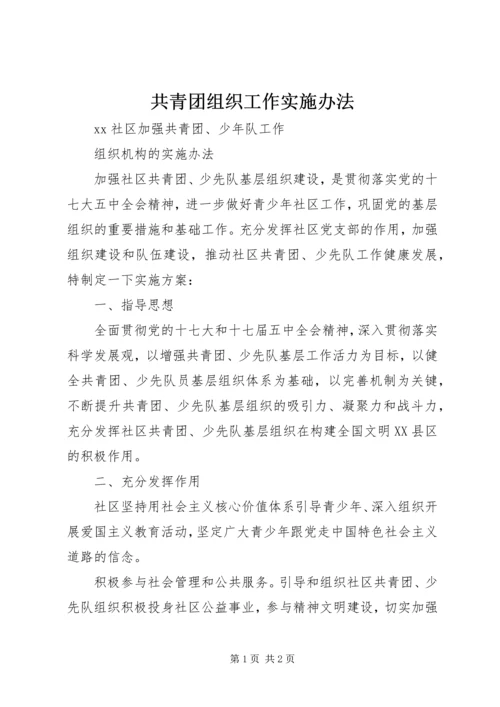 共青团组织工作实施办法 (3).docx