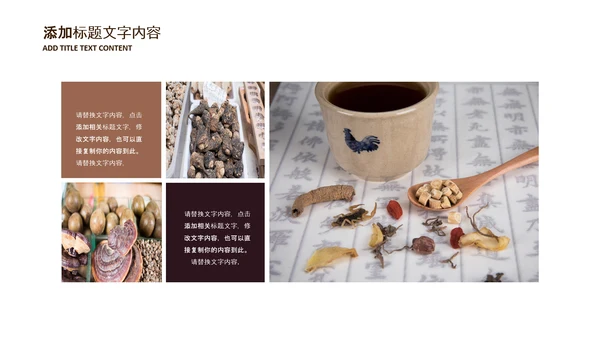中医学养生保健医院中医文化中草药PPT