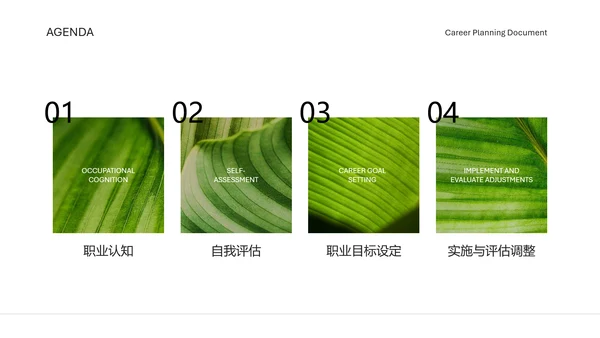 黑白自然简约风旅游行业职业规划书