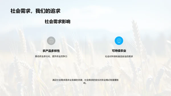 农业社会学视角