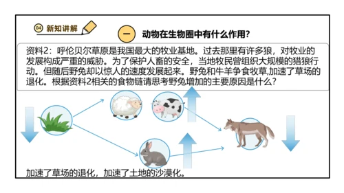 人教版生物八上 5.3动物在生物圈中的作用(共25张PPT)