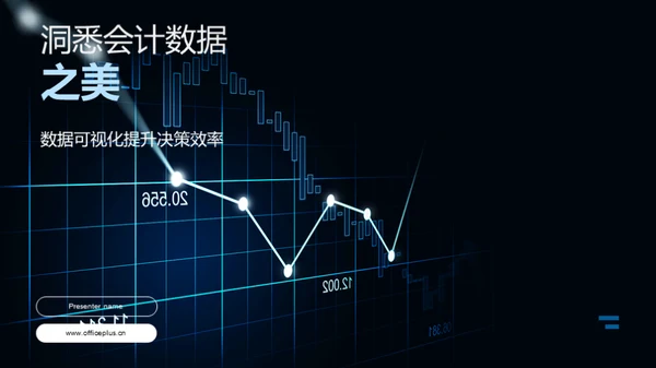 洞悉会计数据之美