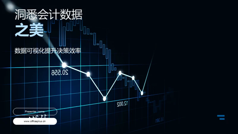 洞悉会计数据之美