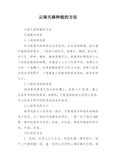 云南天麻种植的方法.docx