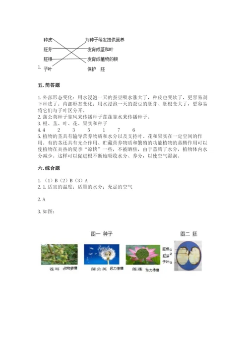 教科版四年级下册科学第一单元《植物的生长变化》测试卷【名师系列】.docx