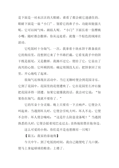 小动物泰迪作文.docx