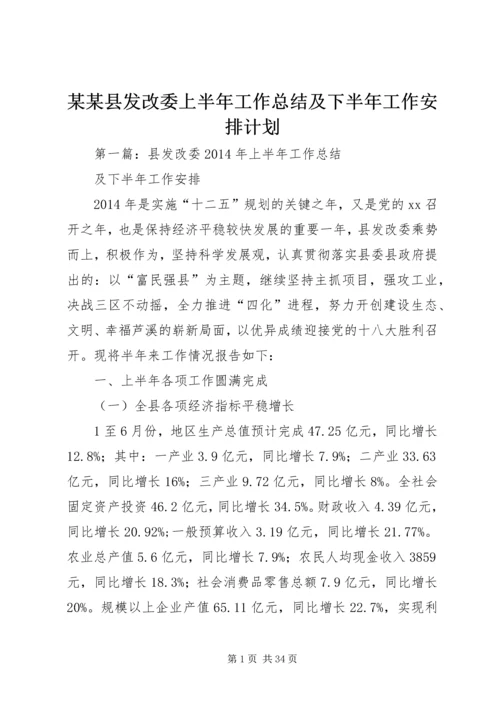 某某县发改委上半年工作总结及下半年工作安排计划.docx