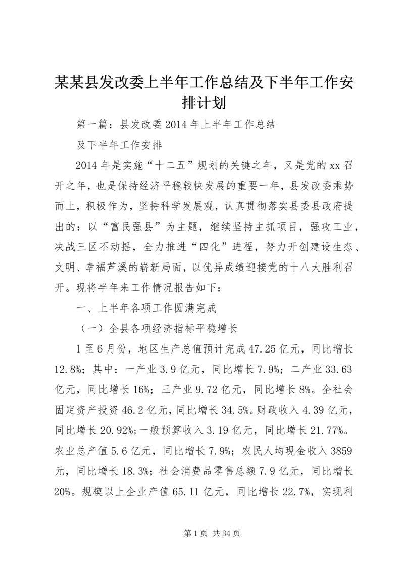 某某县发改委上半年工作总结及下半年工作安排计划.docx