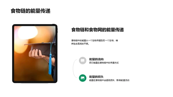 生态环境：平衡与保护