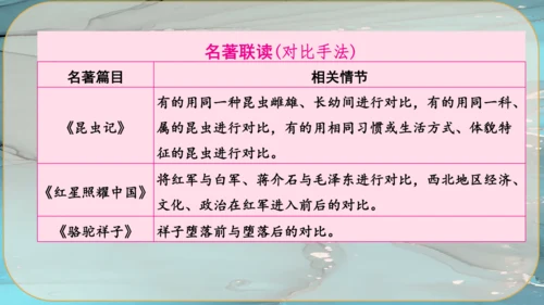 9《论教养》课件