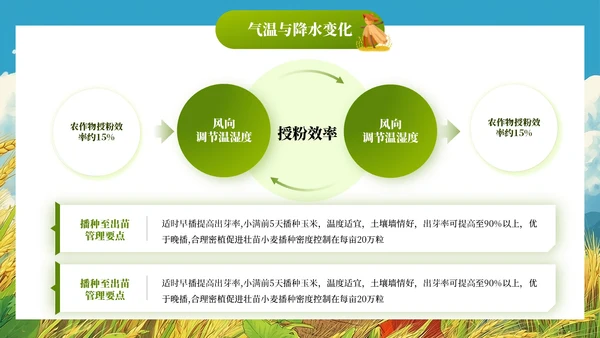 小满节气插画风教育通用模板PPT模板