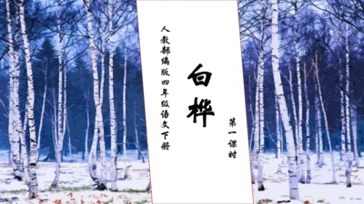 【核心素养】部编版语文四年级下册-11.白桦 第1课时（课件）