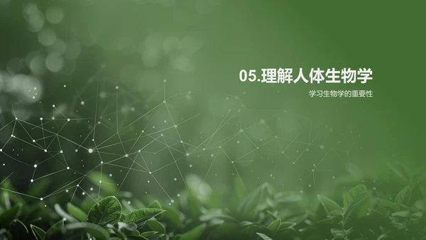人体系统协作讲座PPT模板