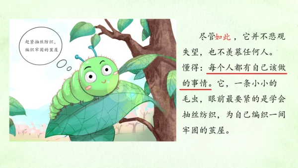 22《小毛虫》课件