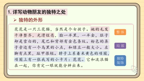 统编版语文四年级下册习作：我的动物朋友（课件）