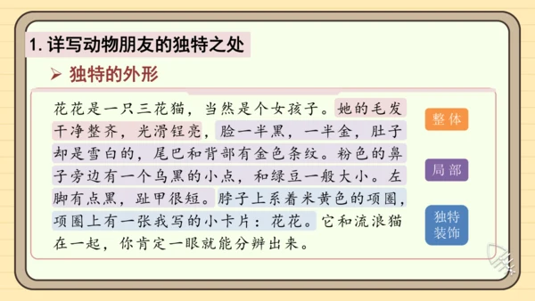 统编版语文四年级下册习作：我的动物朋友（课件）