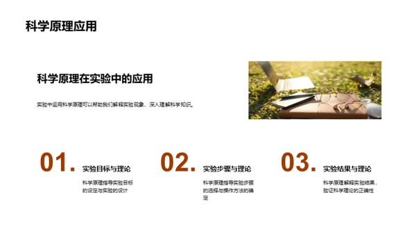 科学实验全程指南