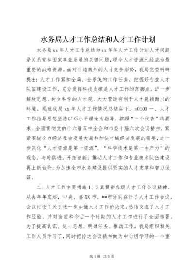 水务局人才工作总结和人才工作计划.docx