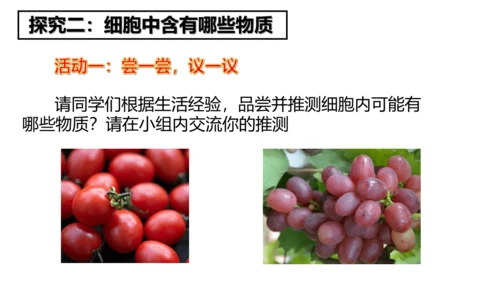 2.1.4细胞的生活课件2023--2024学年人教版生物七年级上册(共34张PPT)