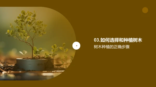 绿化生活，种植未来