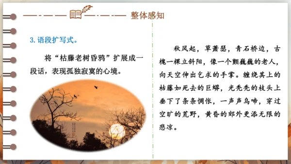 统编版语文九年级下册第一单元 写作 学习扩写 课件