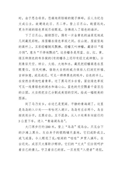 青海柴达木盆地的导游词_2.docx