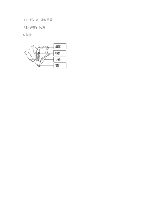 科学四年级下册第一单元《植物的生长变化》测试卷精品（考试直接用）.docx