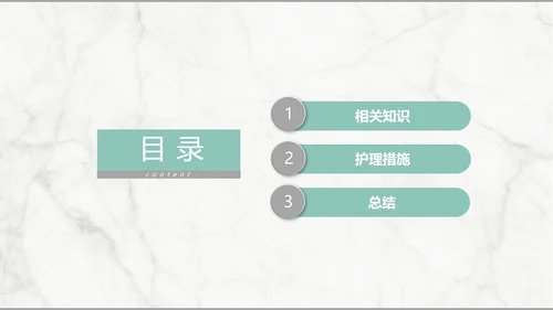 集束化干预在静脉导管相关血流感染的应用PPT模板