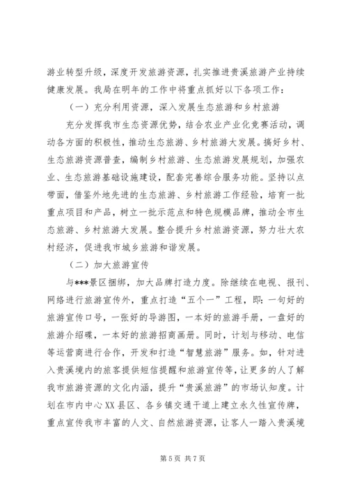 旅游局工作总结及工作计划 (2).docx
