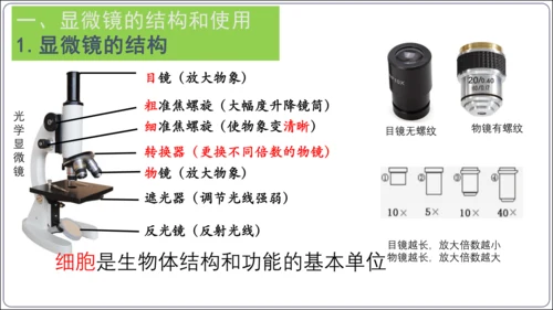 【2023秋人教七上生物期中复习考点梳理串讲+临考押题】第一章 细胞是生命活动的基本单位（串讲课件）