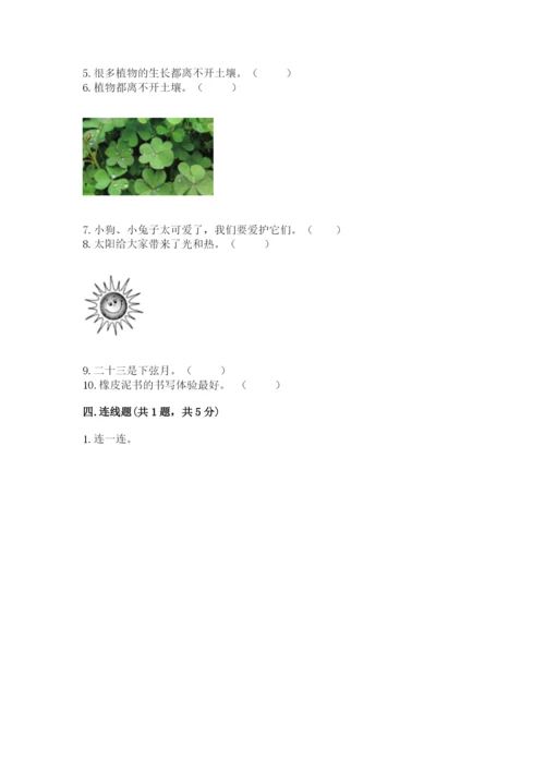 教科版科学二年级上册期末测试卷含答案【新】.docx