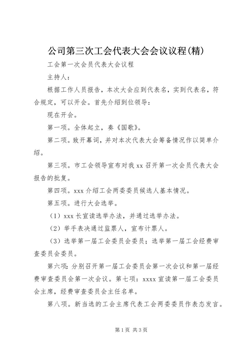 公司第三次工会代表大会会议议程(精) (3).docx