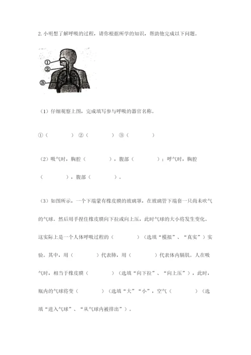 教科版科学四年级上册第二单元《呼吸和消化》测试卷精品【完整版】.docx