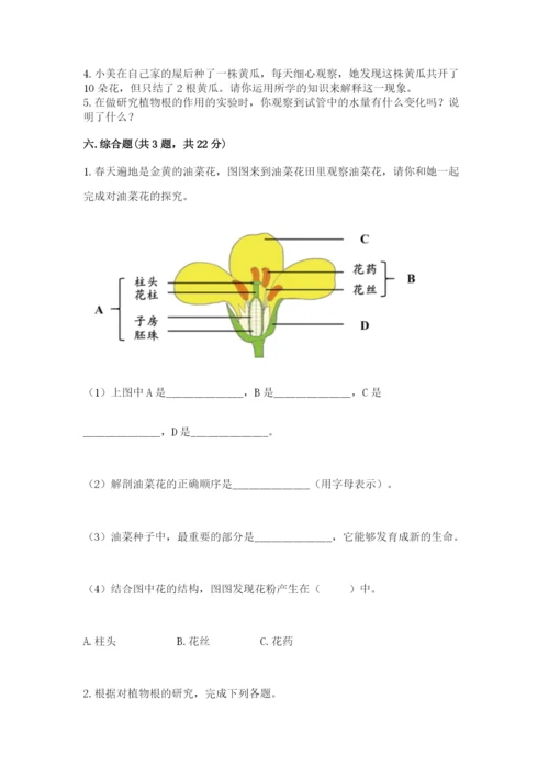 教科版四年级下册科学第一单元《植物的生长变化》测试卷（真题汇编）.docx