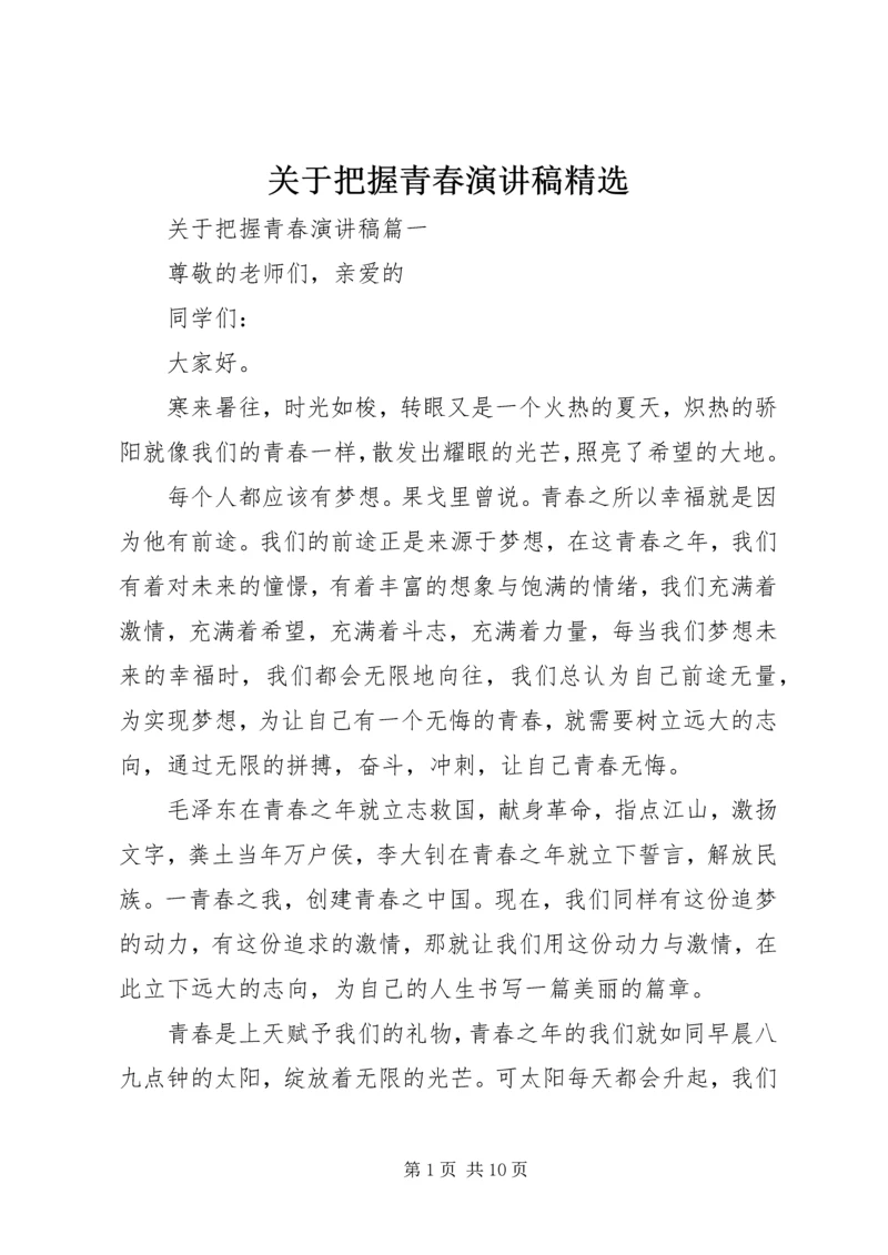 关于把握青春演讲稿精选.docx