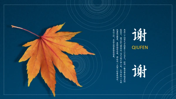 秋风节气秋季文艺风通用PPT模板