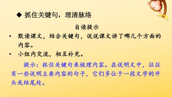 19 只有一个地球 课件