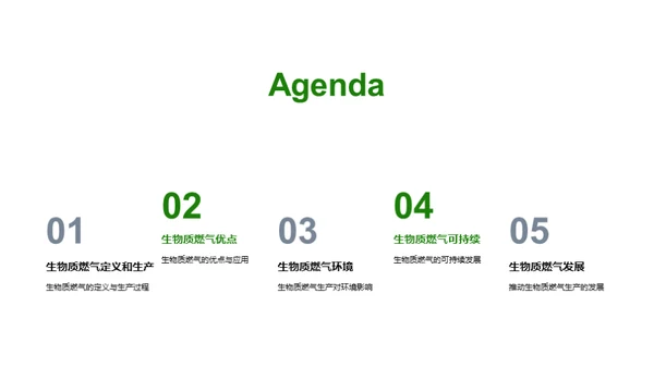 生物质燃气：绿色未来之路