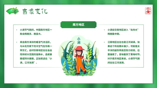 绿意春天小满时节二十四节气通用PPT模板