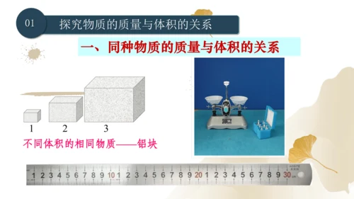 6.2密度（课件）(共25张PPT) -2023-2024学年八年级物理上册同步精品课堂（人教版）